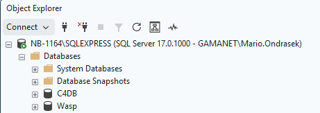 Figure 1. Expected SQL Server database state after restore: C4DB and WASP are both present.